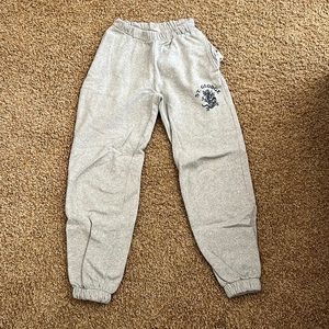 Gray sweatpants from Brandy Melville
